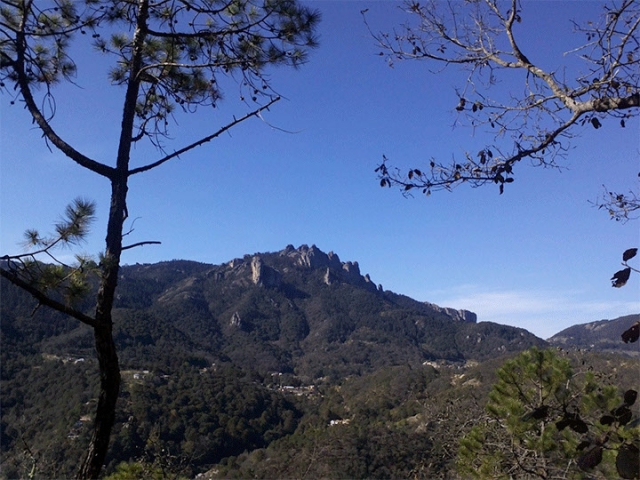naturaleza de hidalgo